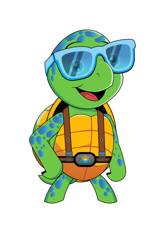 Sunny the Roofing Turtle